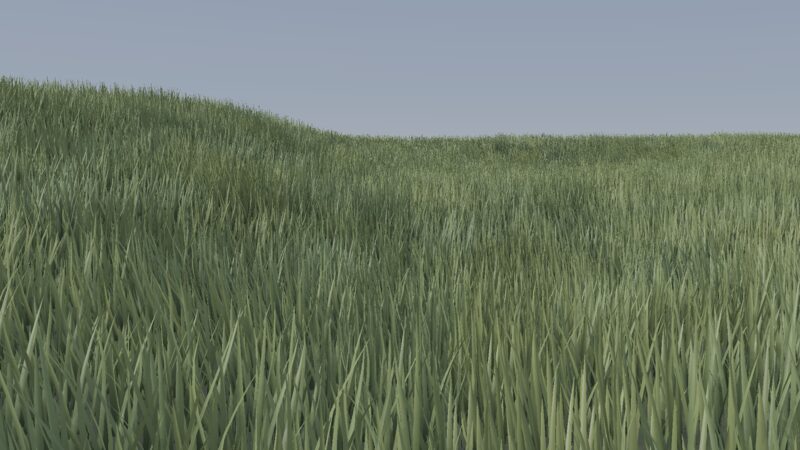 Grass scene